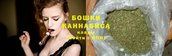 ECSTASY Богородицк