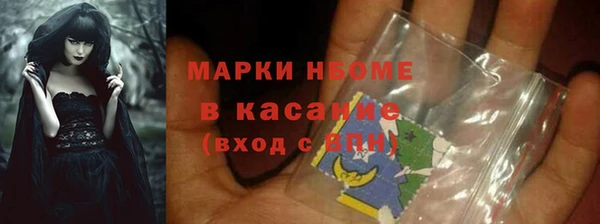 ECSTASY Богородицк